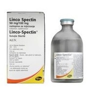 LINCO-SPECTIN INY 250 ML