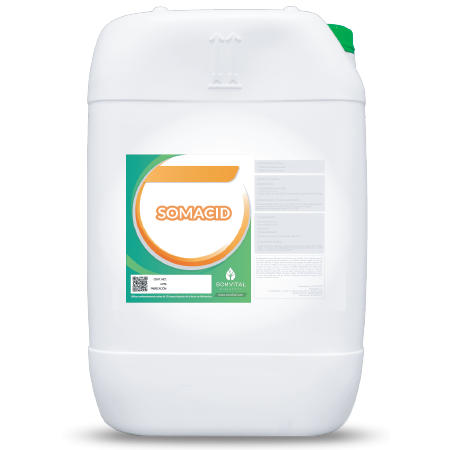 SOMACID 20 KG
