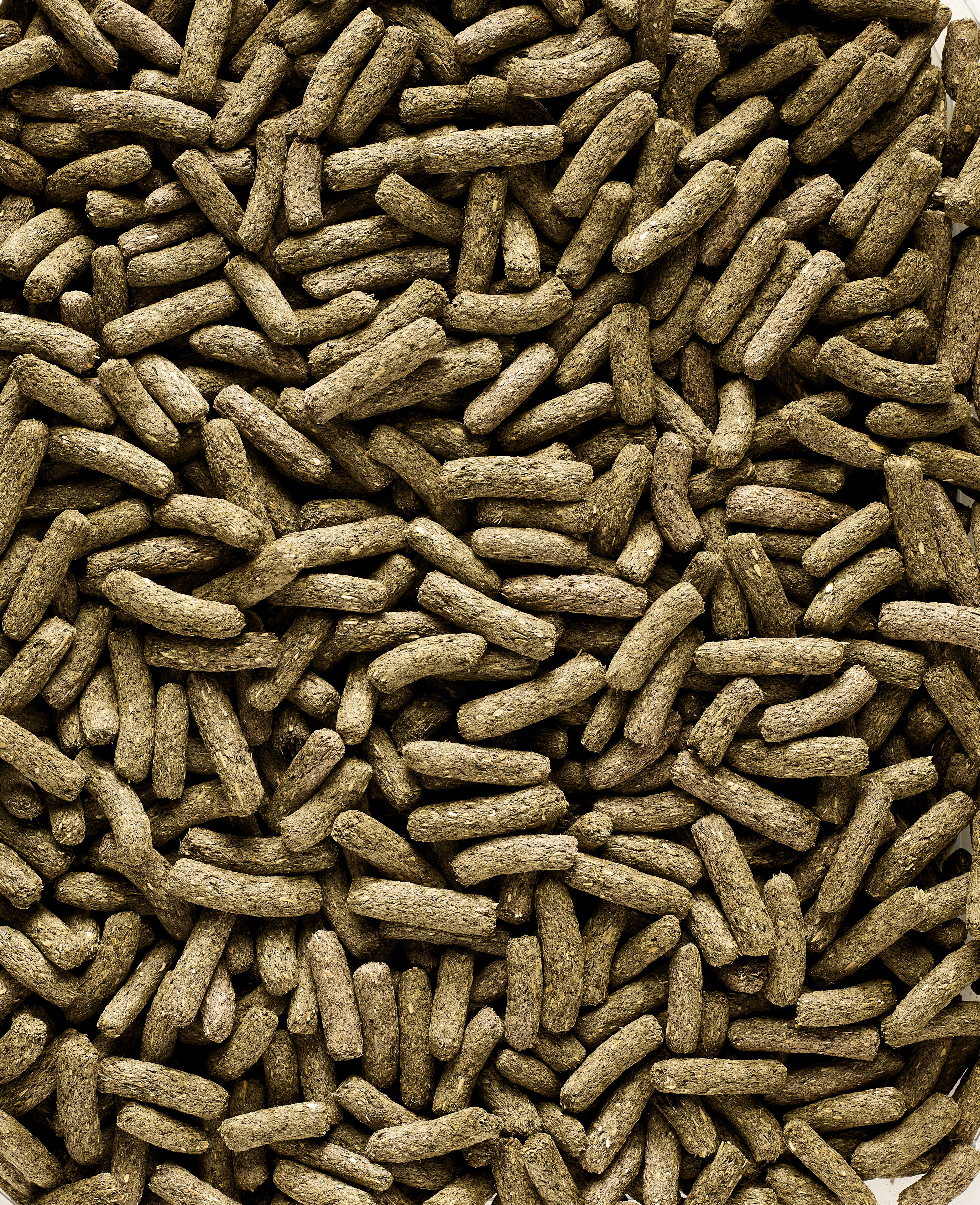 Complet Pienso Completo Y Sabroso Para Chinchilla Y Degú 500 Gr