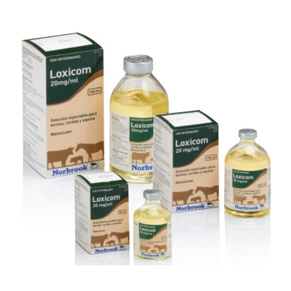 LOXICOM 20 MG/ML 50 ML