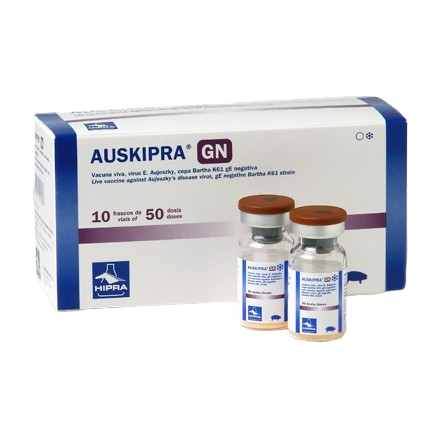 AUSKIPRA-GN/W 10x25 Ds.