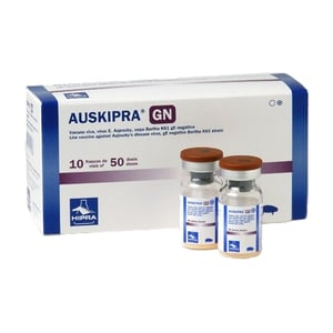 AUSKIPRA-GN/W 10x25 Ds.