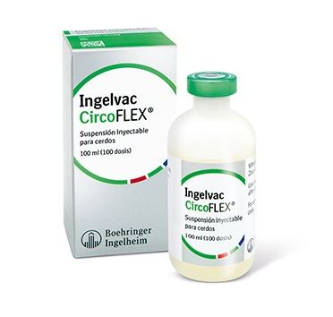 INGELVAC CIRCOFLEX LIOTH 50 ML