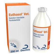 EUTHASOL VET 400 MG/ML 250 ML (AV)