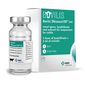 BOVILIS INTRANASAL RSP VIVA 5X2 ML (5X1 DS)