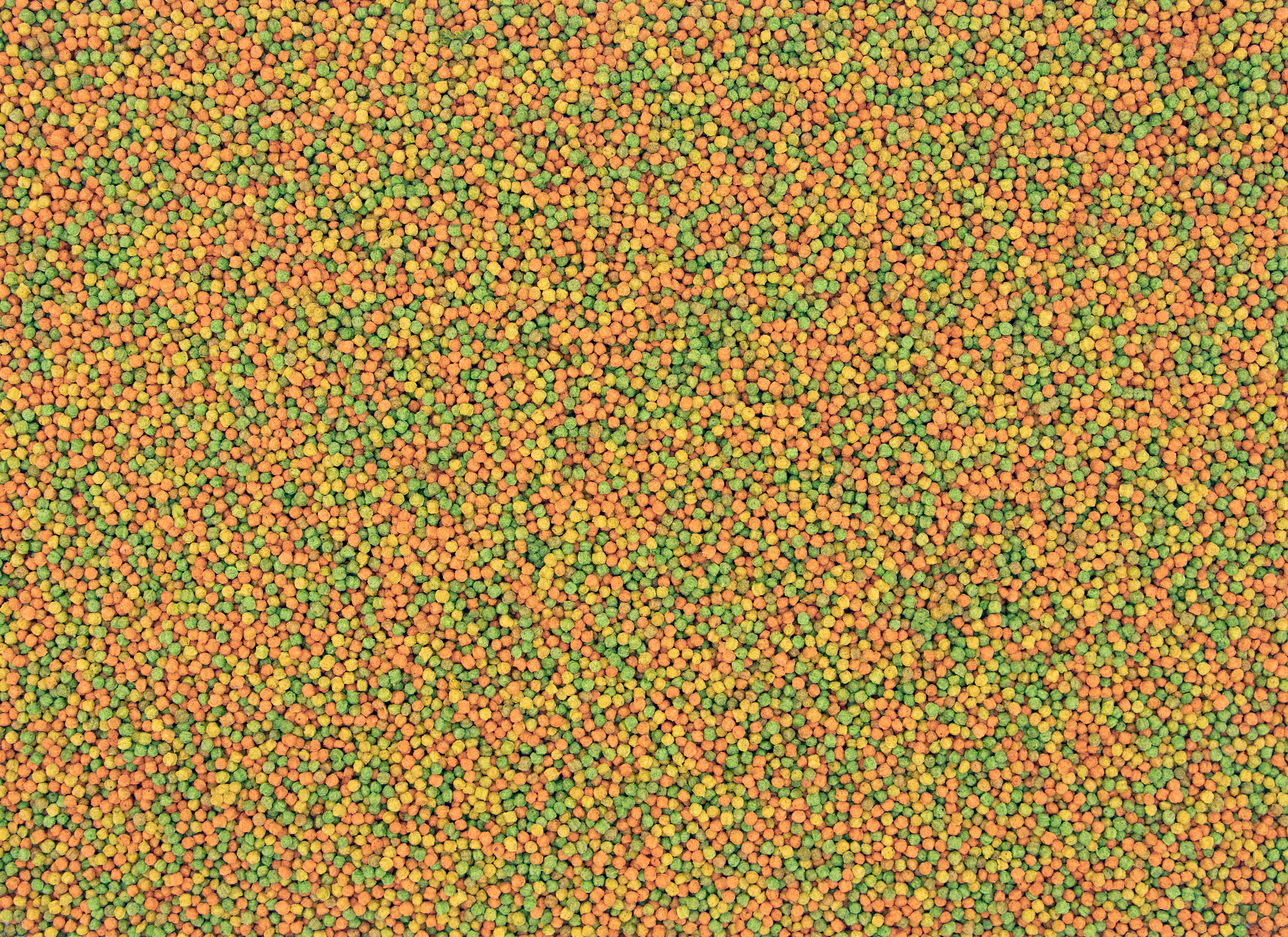 Nutribird B14 Alimento Para Periquitos, Carolinas, Agapornis, Cotorras 3 Kg