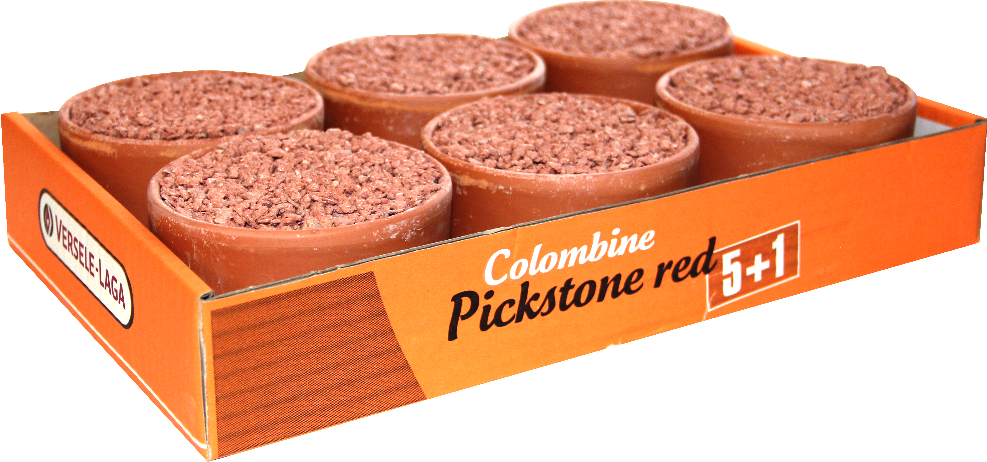 COLOMBINE PICKSTONE ROJO PACK 5 + 1 3,6 KG