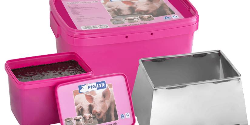 PigLyx, suplemento nutricional para cerdos