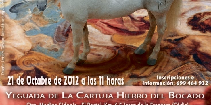 II Campeonato de España de Monta Española