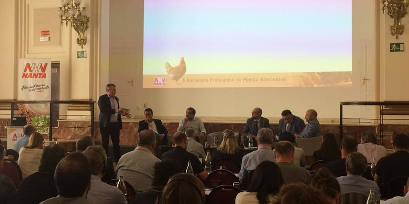 II Encuentro profesional de puesta alternativa