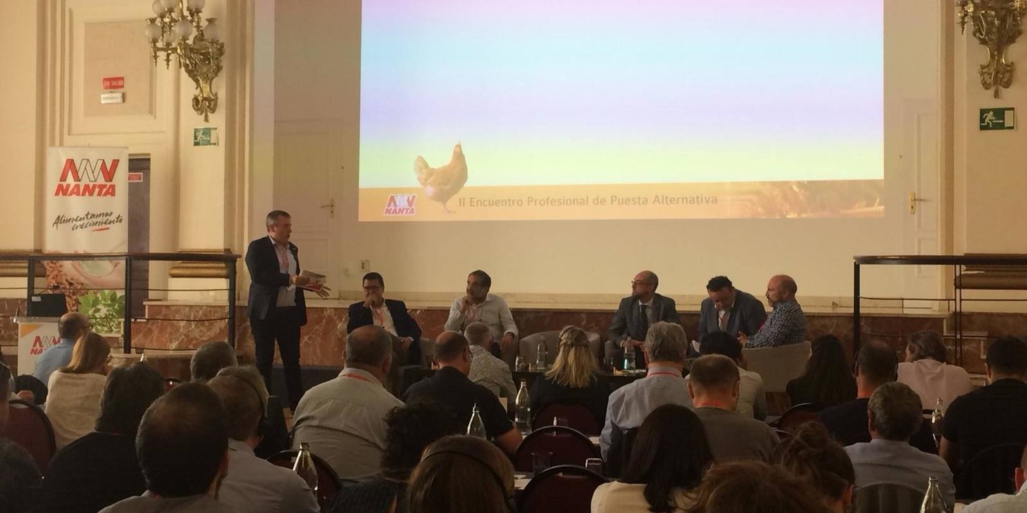II Encuentro profesional de puesta alternativa