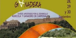 Hispalgan patrocina el stand de ARAPORC en Agroporc