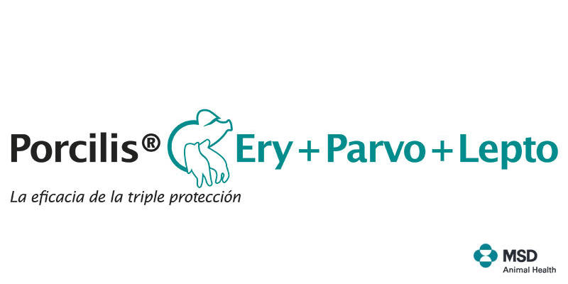 Porcilis® Ery+Parvo+Lepto, primera y única vacuna registrada en España frente a Leptospira para ganado porcino