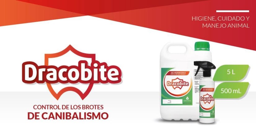 CAUDOFAGIA Y RABOTEO EN LA PRODUCCIÓN PORCINA