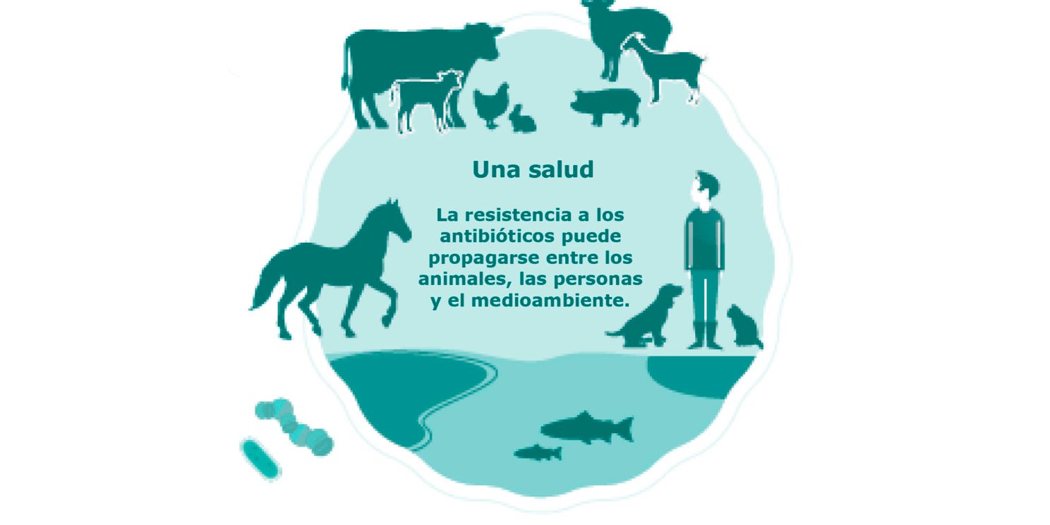 Clasificación de los antibióticos para uso en animales