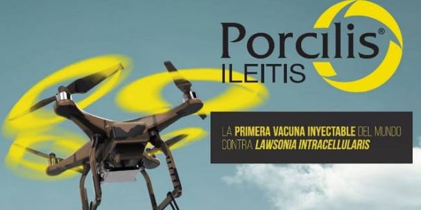 Vacuna para el control de la ileítis porcina causada por Lawsonia intracellularis