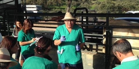 Jornadas prácticas y de formación destinadas a veterinarios y ganaderos en Cazalla de la Sierra