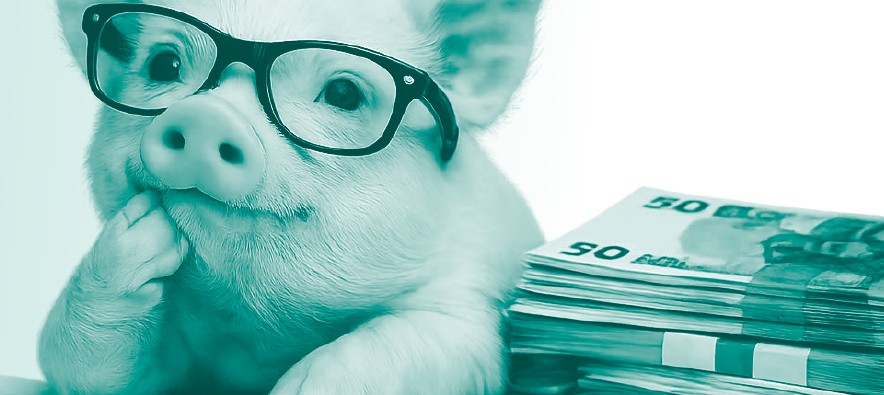 La sanidad animal: la mejor inversión para proteger la rentabilidad en porcino