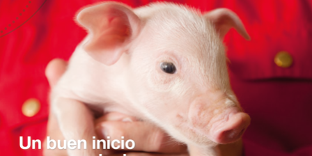 Uniferon, un buen inicio para sus lechones