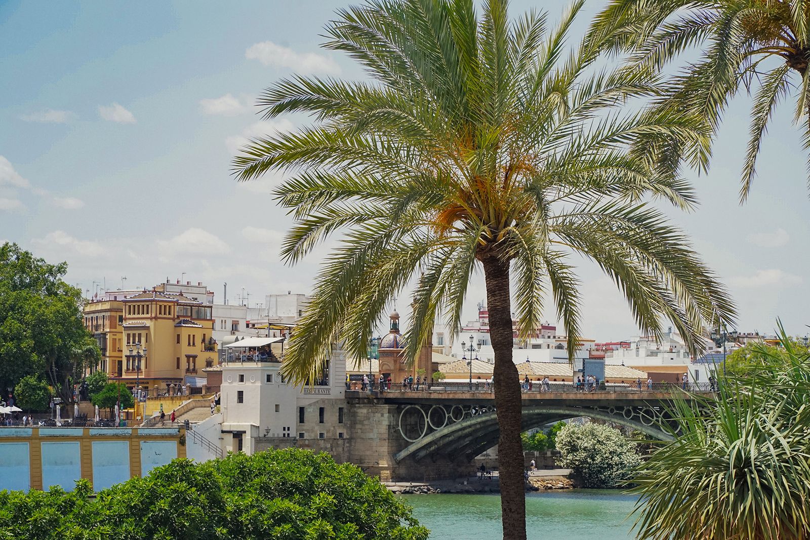 Nous dévoilons les secrets de Séville