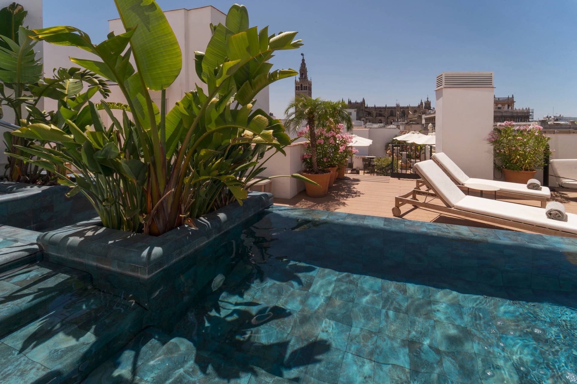 Alberca y solárium en la azotea del Hotel Mercer Plaza Sevilla