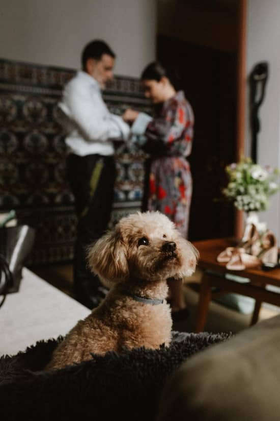 Mercer Residences Sevilla Bodas, Eventos y Celebraciones