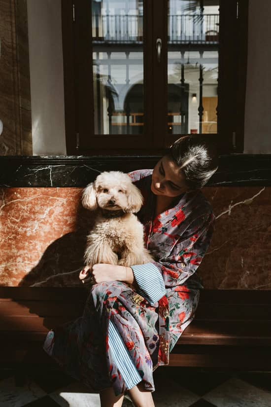 Mercer Residences Sevilla Establecimiento pet-friendly