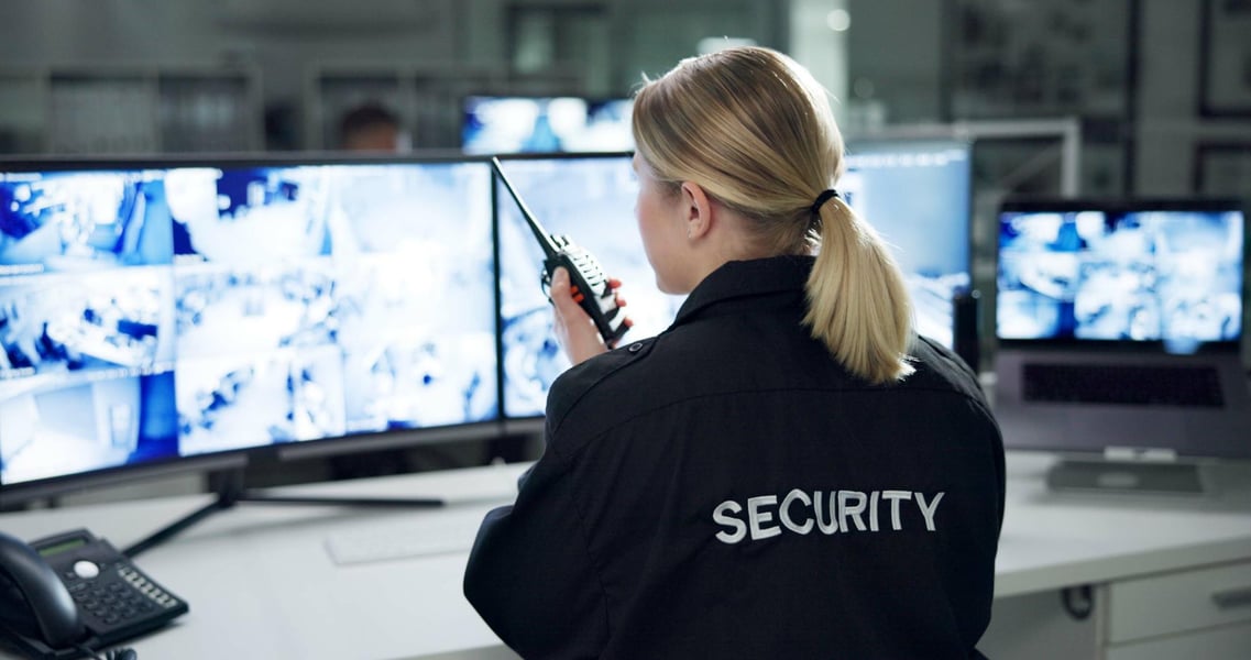 Sector - Sistemas de seguridad