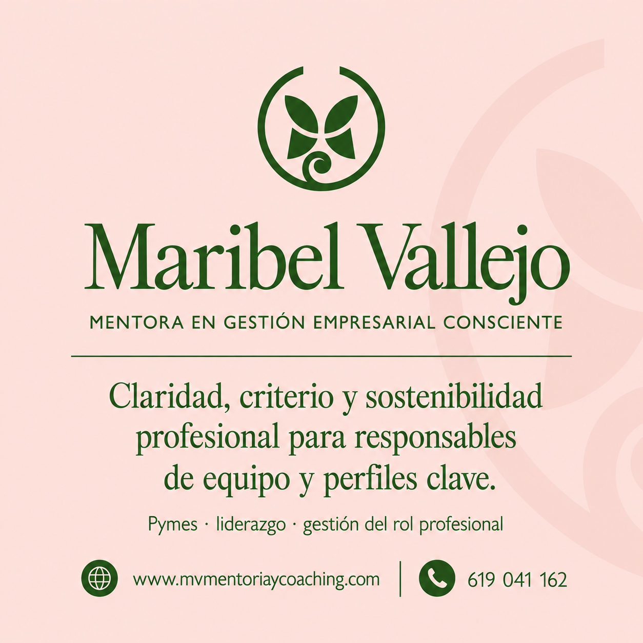 MV-Mentoria y Coaching empresarial
