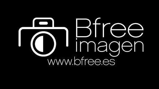 Empresa - Bfree Imagen