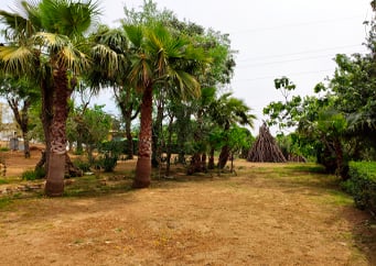 Nuevo Paraíso