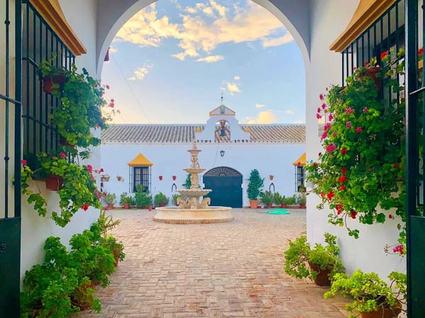 Empresa - Hacienda Mendieta
