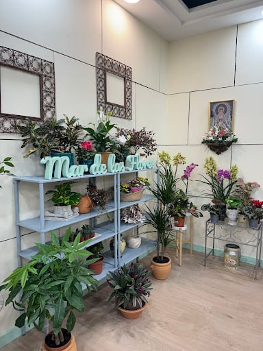 Empresa - Mar de las Flores