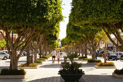 Galería