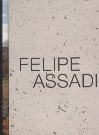 Arquine Especial Felipe Assadi