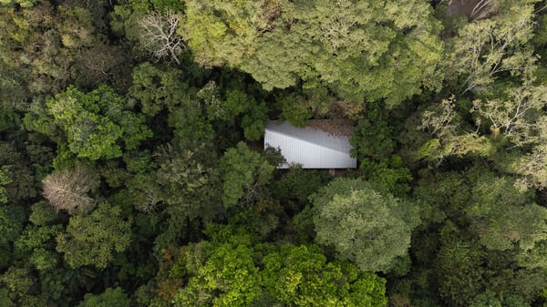 Refugio en el bosque tropical. Centro de Capacitación para guías turísticos