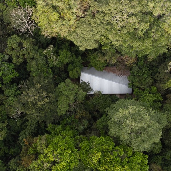 Refugio en el bosque tropical. Centro de Capacitación para guías turísticos
