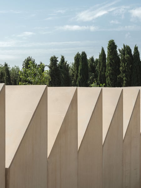 DOG CITY. Animal shelter