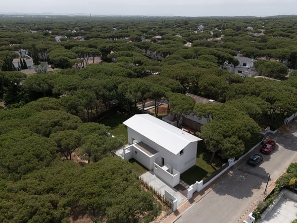 House in the Roche pine forest