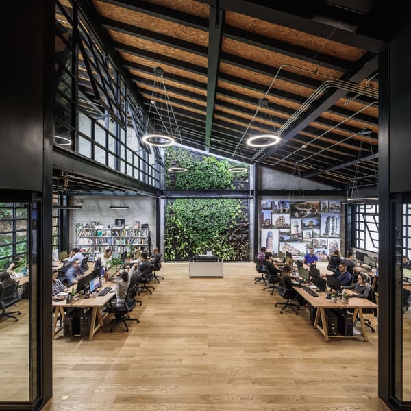 Oficinas Carazo Arquitectura