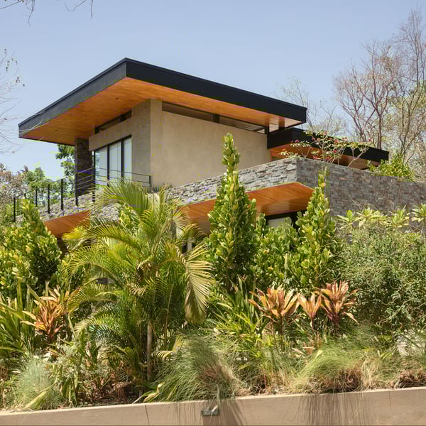 Dos Monitos House