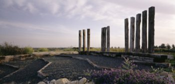 Sendero en el Pinar de La Agaida