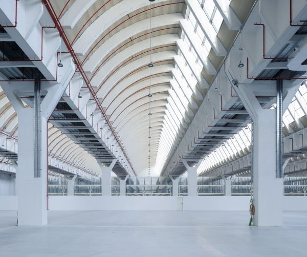 Remodelación de las Naves Intelhorce - Mayoral - Visita 4
