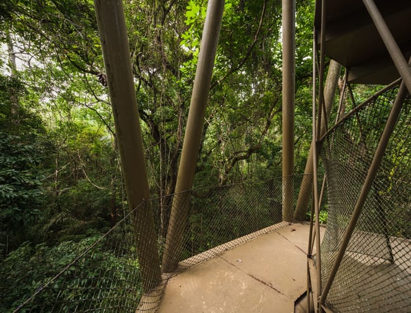 Panama Rainforest Discovery Center and Observation Tower