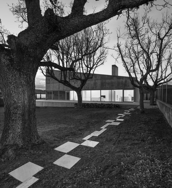 enTera House. Soria
