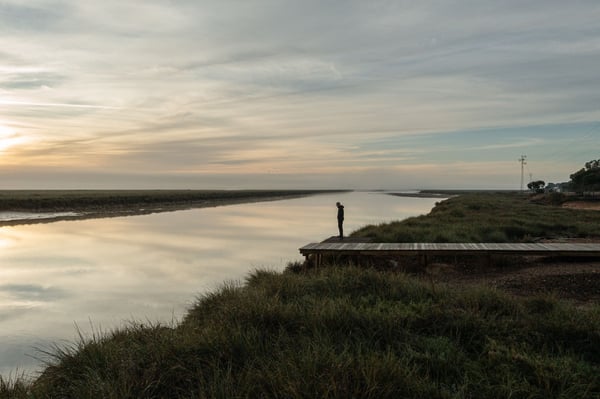 Envolviendo la marisma. Itinerario paisajístico en torno al estuario norte del Odiel.
