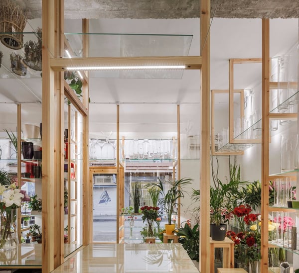 Orquídeas y escaleras