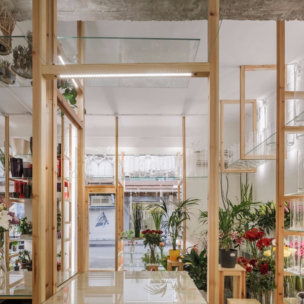 Orquídeas y escaleras