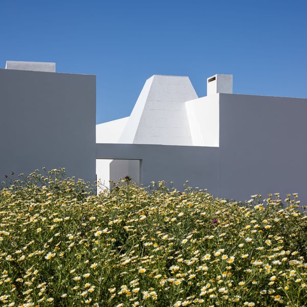 Two wings House