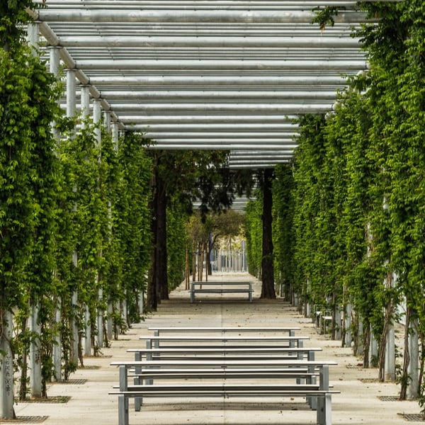 Parque Magallanes